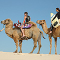 The camel expedition