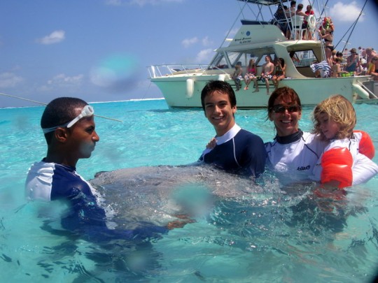 Stingray City Feeding