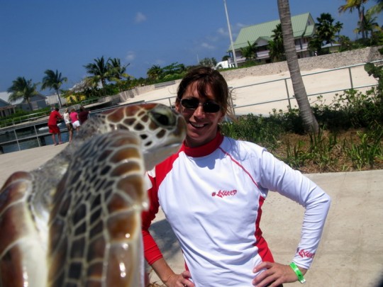 Cayman Island Turtle Farm Kiss