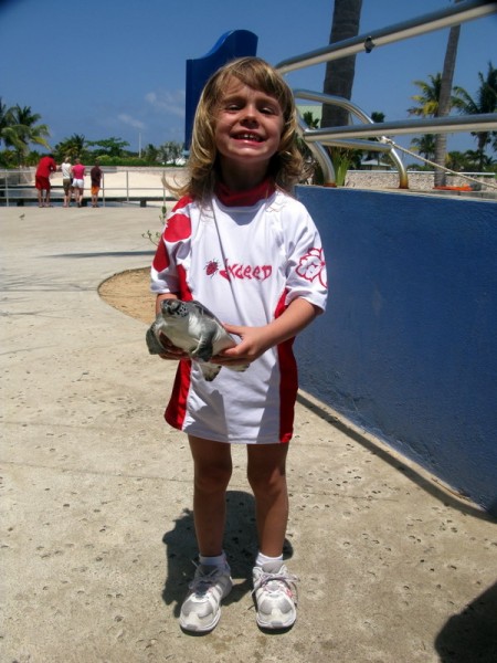 Elektra at the Cayman Island Turtle Farm