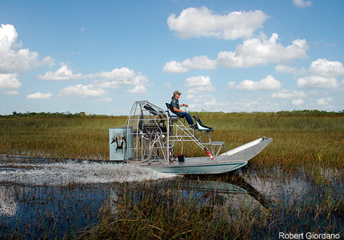 Hot Rod Airboat - Everglades Adventure