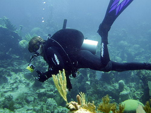 EXCEED on the Bahamas reef - Scuba Diving, 2005